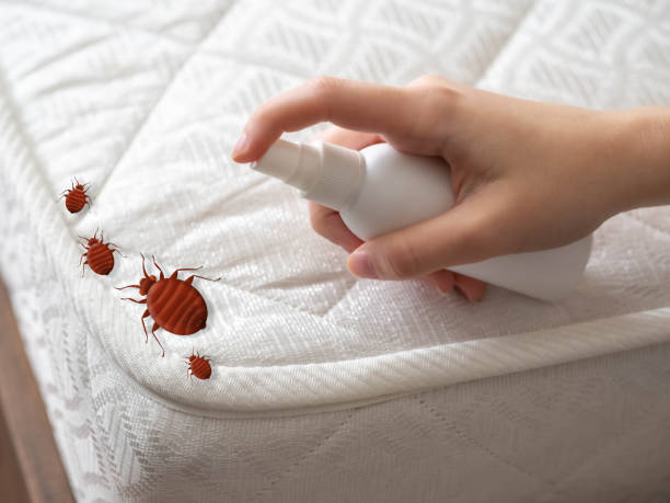 Best Residential Pest Control  in Cairo, GA